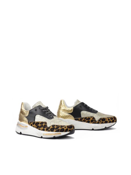 SNEAKERSY HEGO'S MILANO
