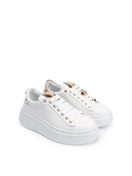 SNEAKERSY GIO+