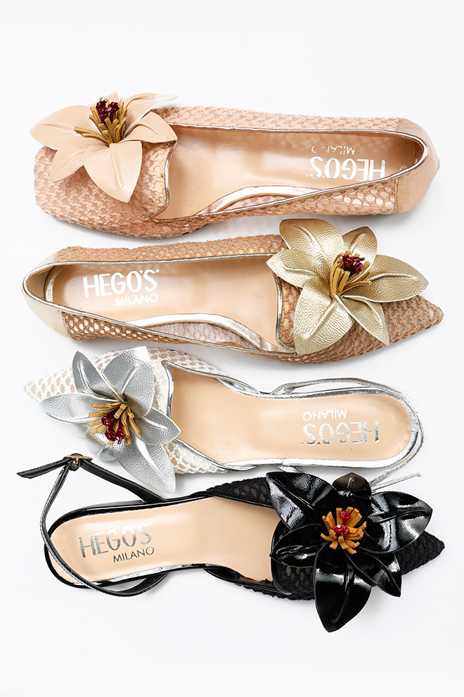 HEGOS
